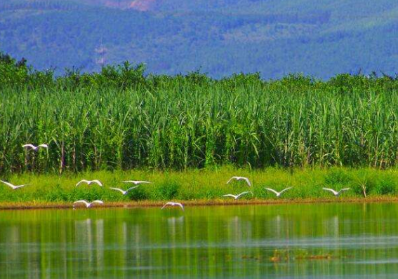 山西實施生態(tài)環(huán)境損害賠償制度